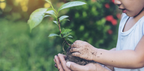 Sustainability Report